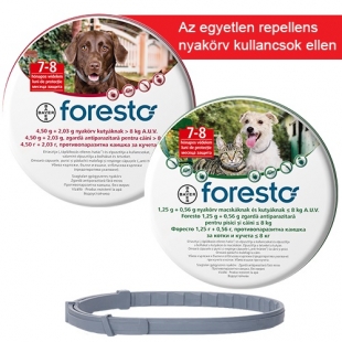 Foresto bolha és kullancs elleni nyakörv macskáknak állatgyógyszertár
